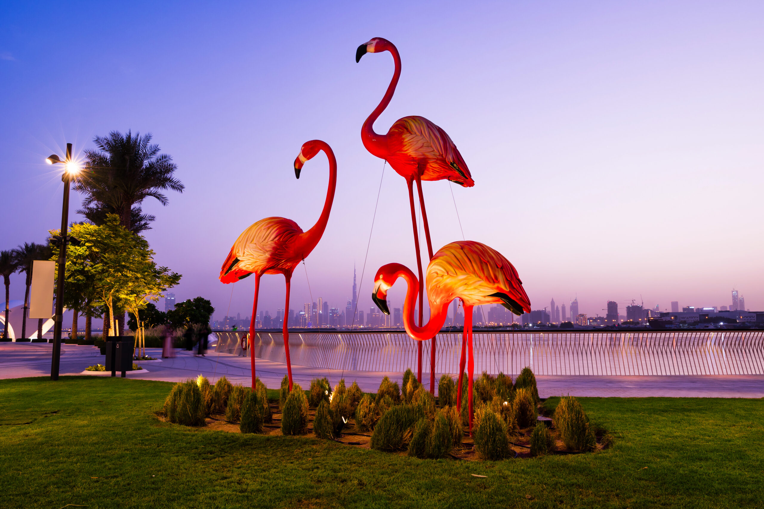 Dubai Creek - Flamingos in Dubai Creek Harbour