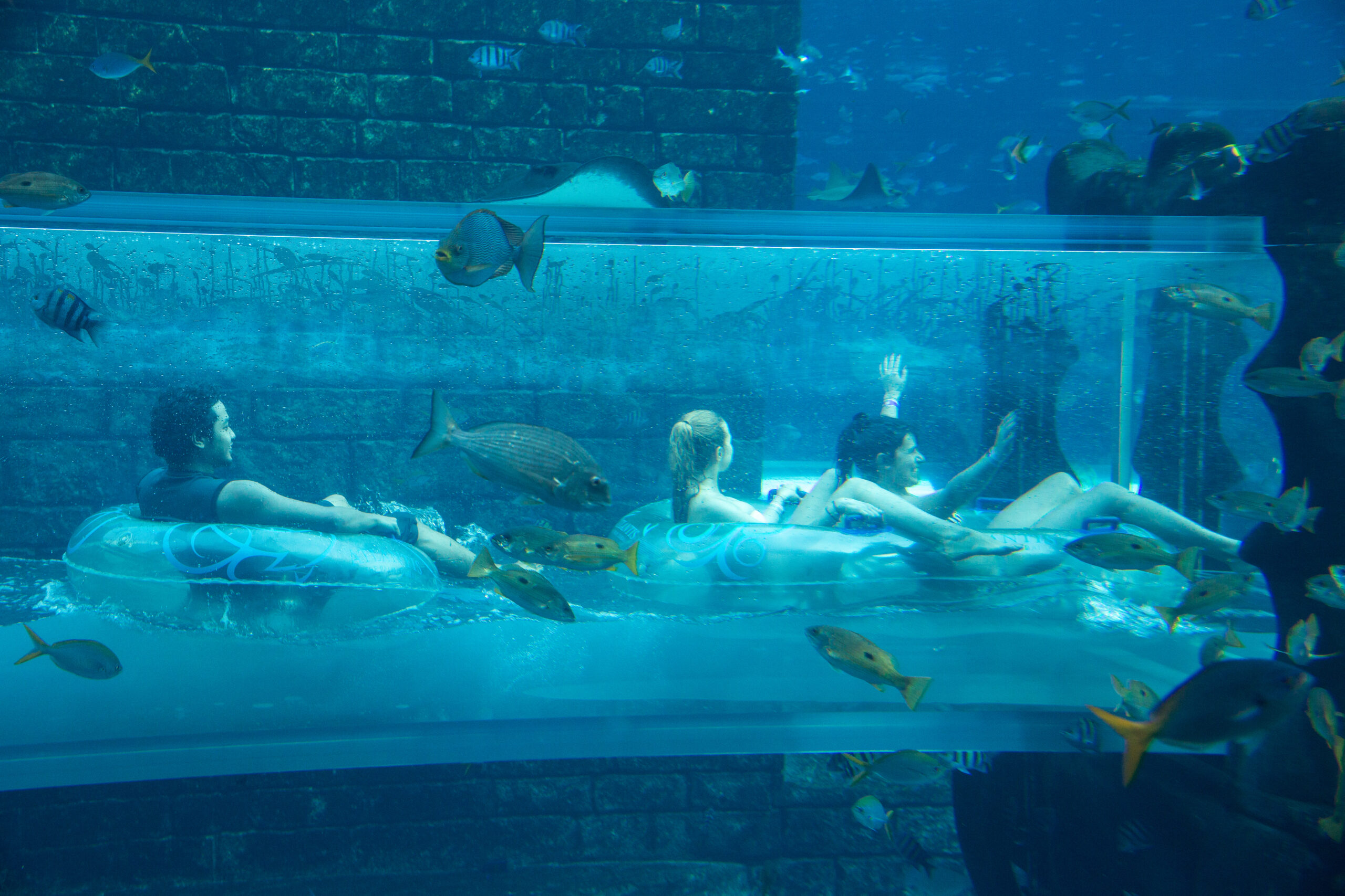 Aquaventure Waterpark Dubai - Sharks tunnel