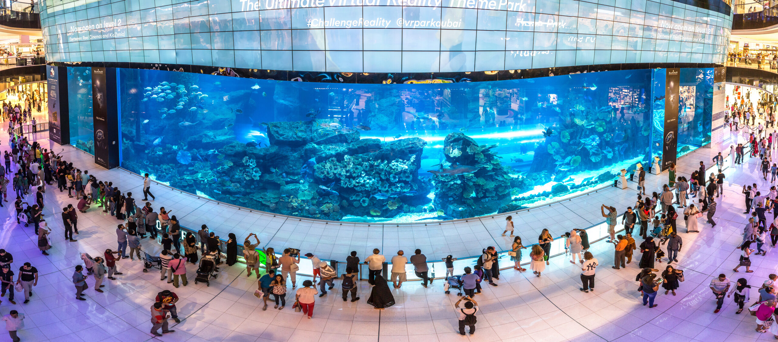 Dubai Aquarium and Underwater Zoo - Fish tank panel
