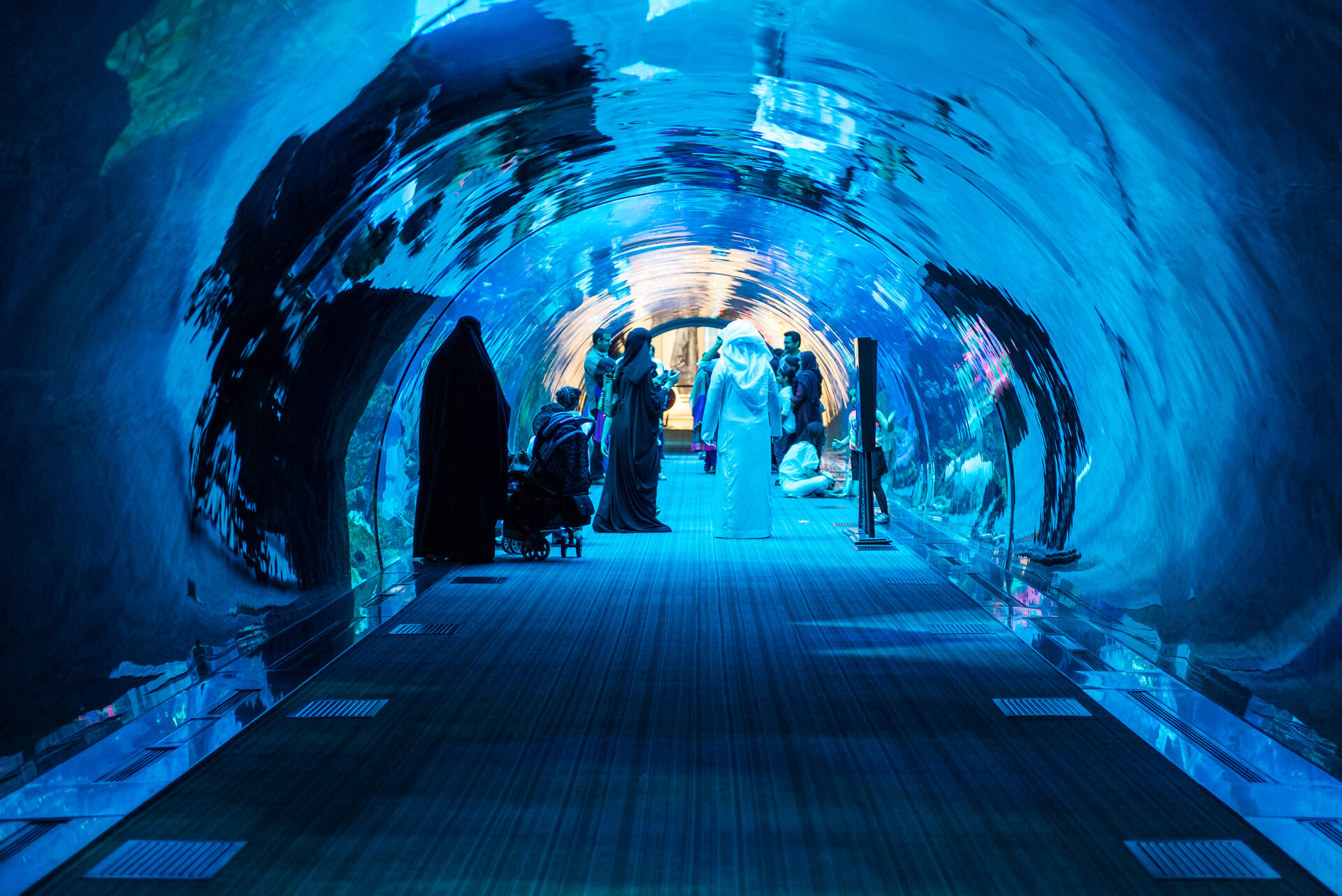 Dubai Aquarium and Underwater Zoo - Tunnel