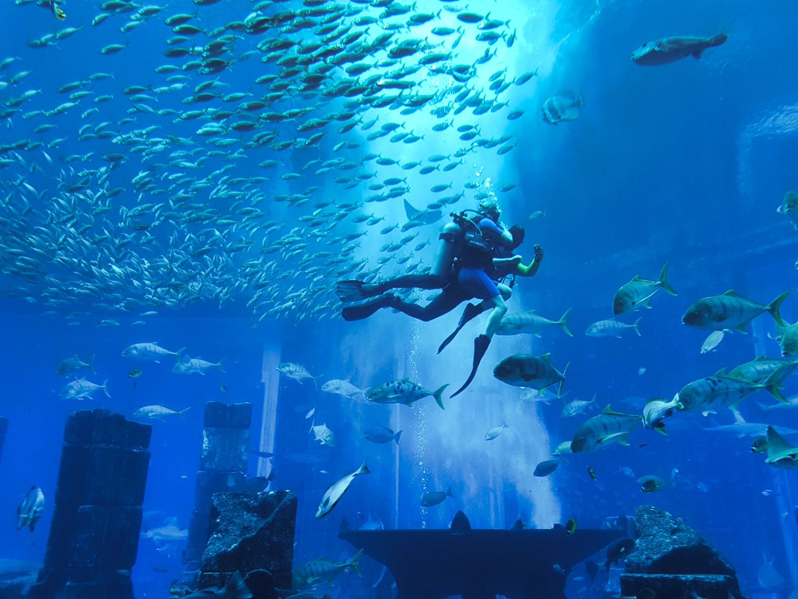 Lost Chambers Aquarium Dubai - Diving