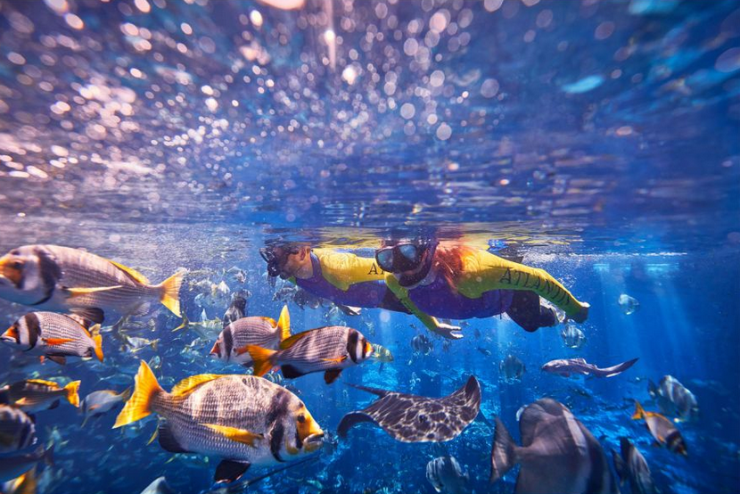 Lost Chambers Aquarium Dubai - Snorkelling
