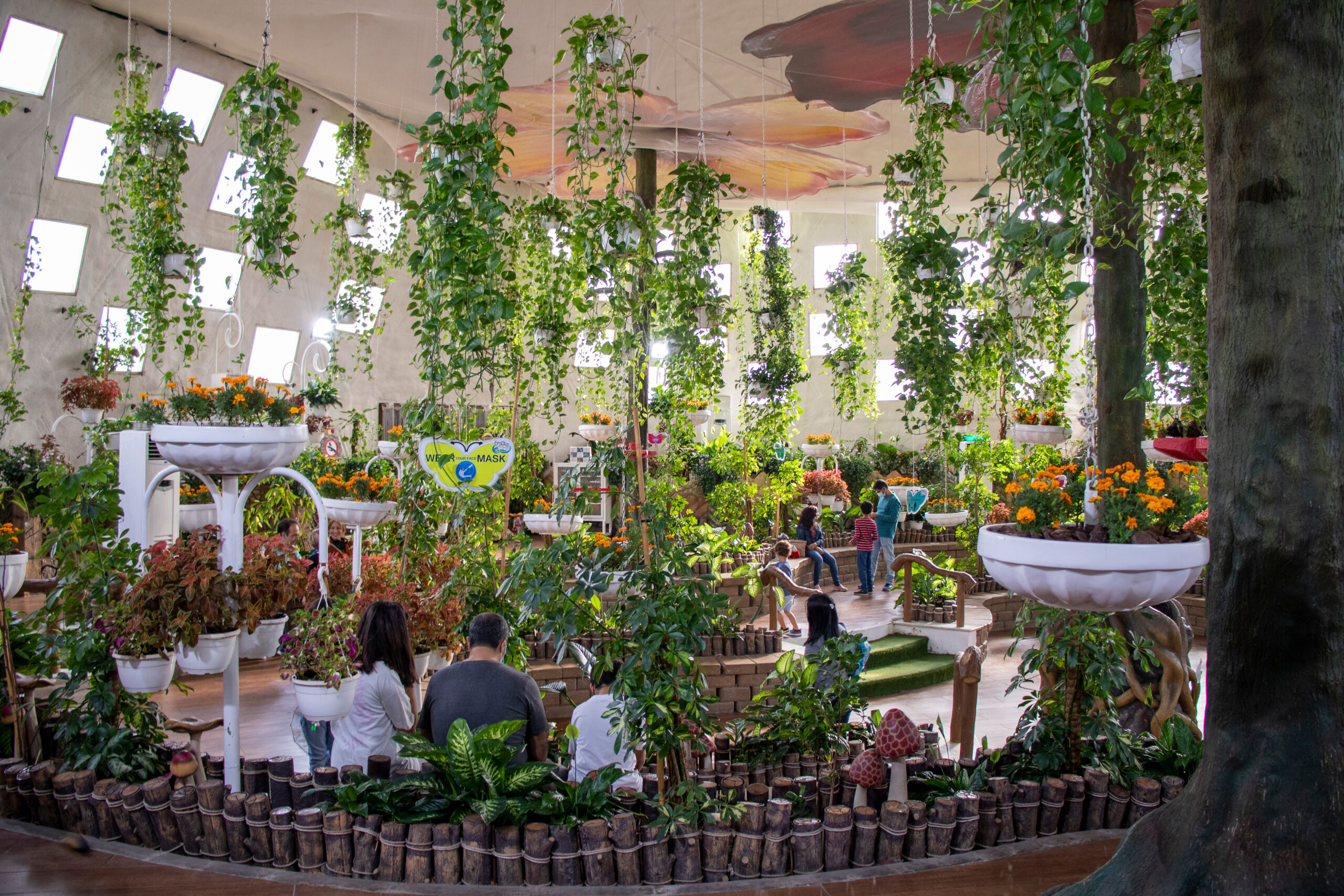 Dubai Butterfly Garden - Inside the dome