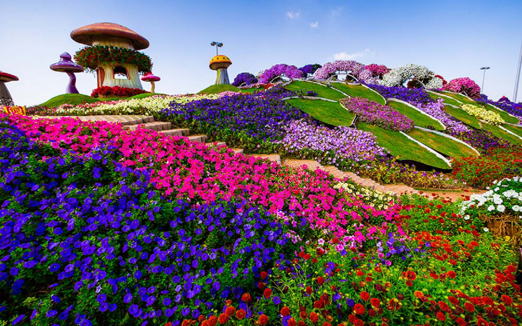Dubai Miracle Garden - Hill Top