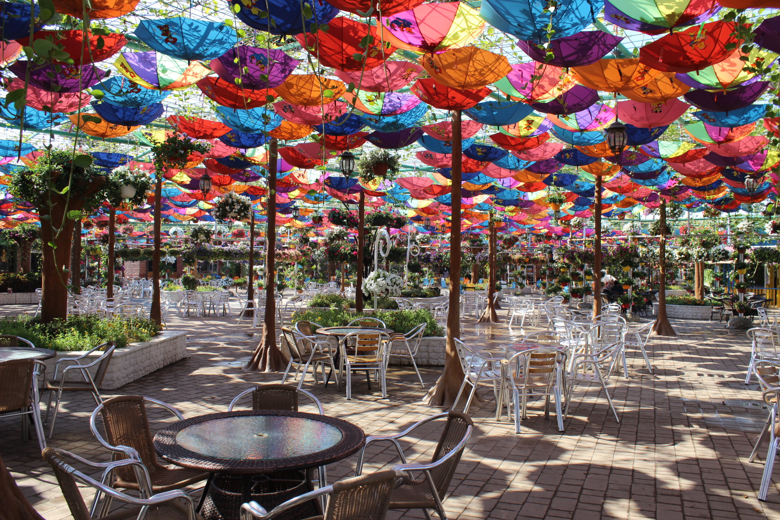 Dubai Miracle Garden - Umbrella tunnel