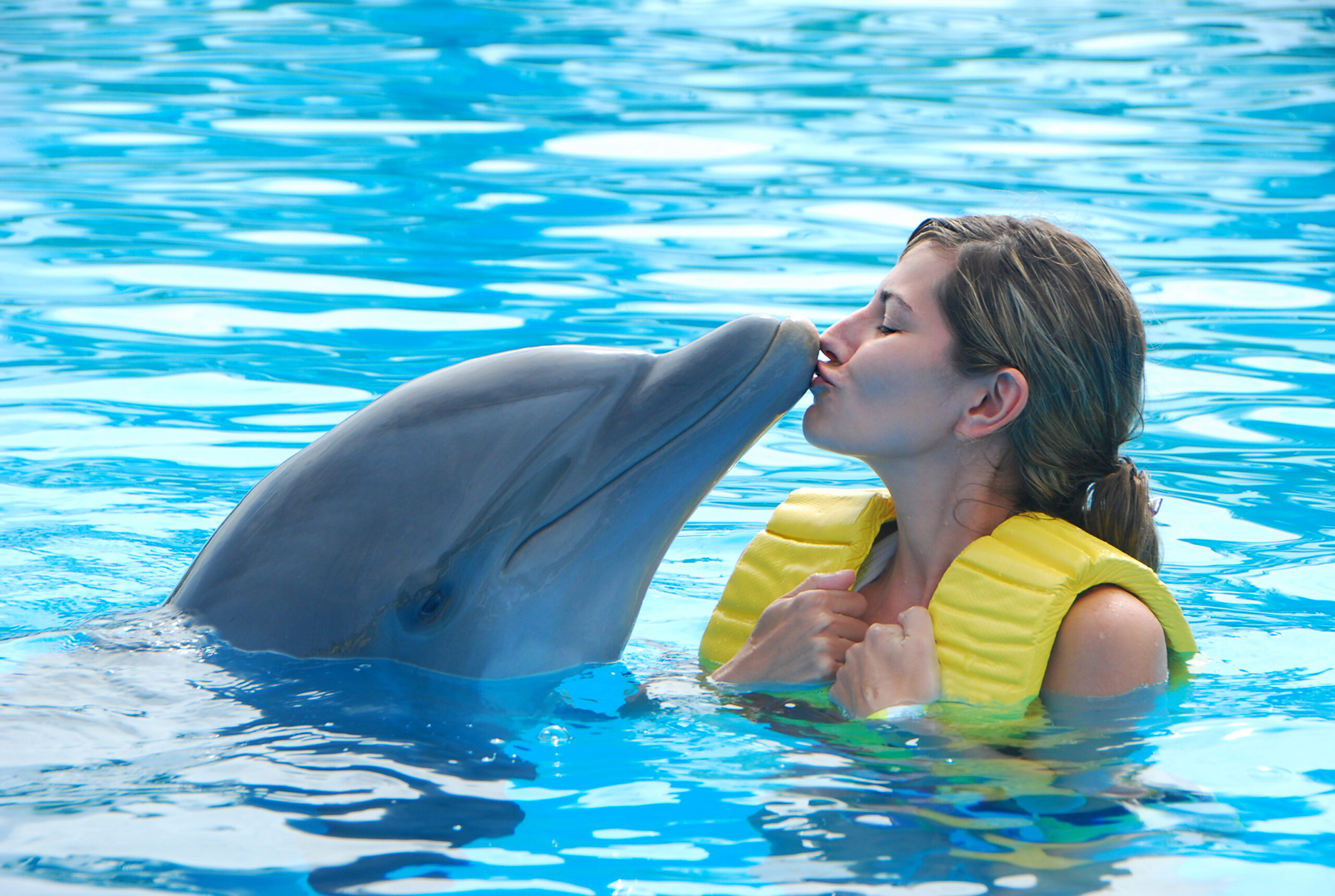 Dubai Dolphinarium - Dolphin show
