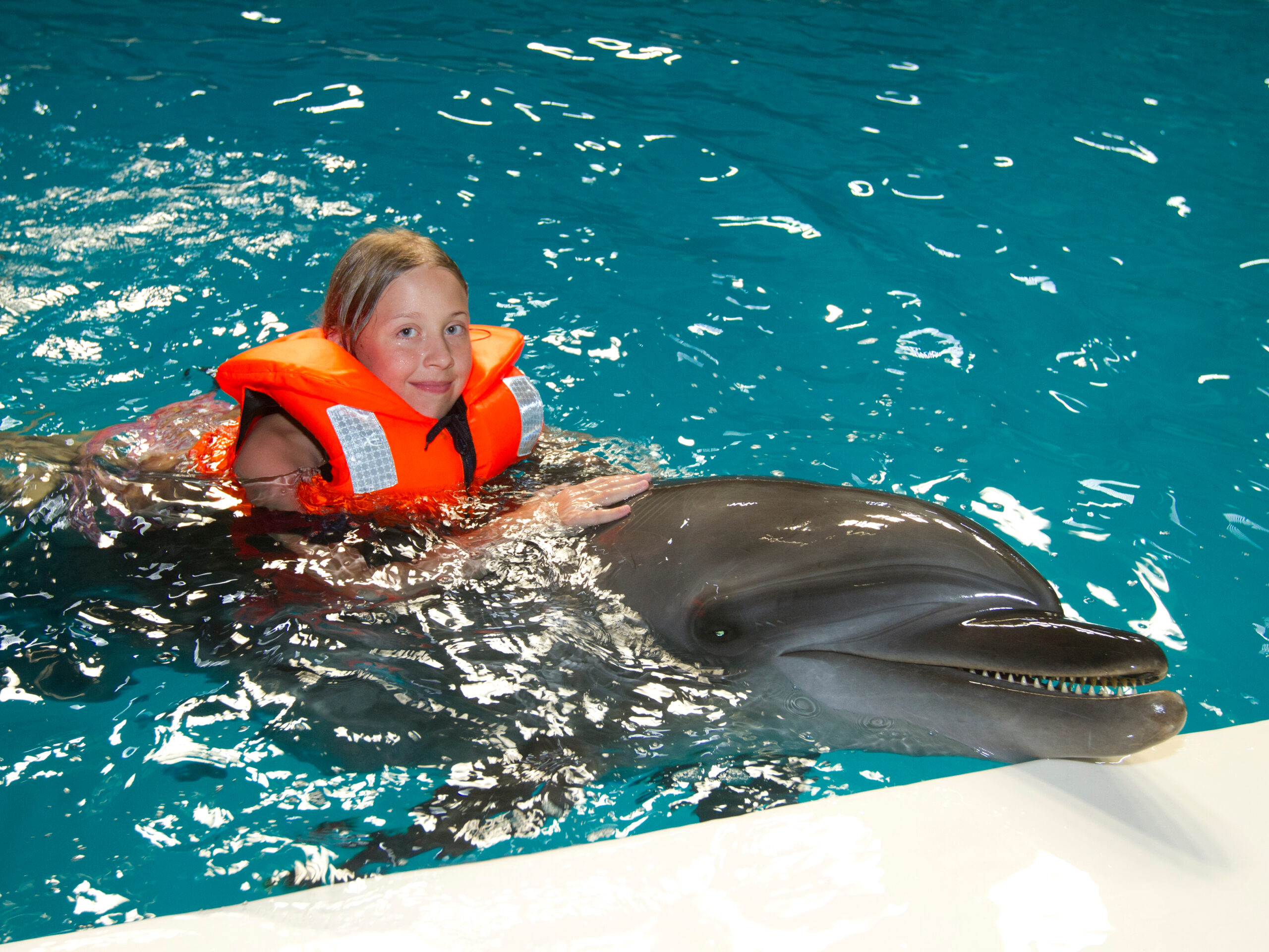 Dubai Dolphinarium - Swim with dolphins