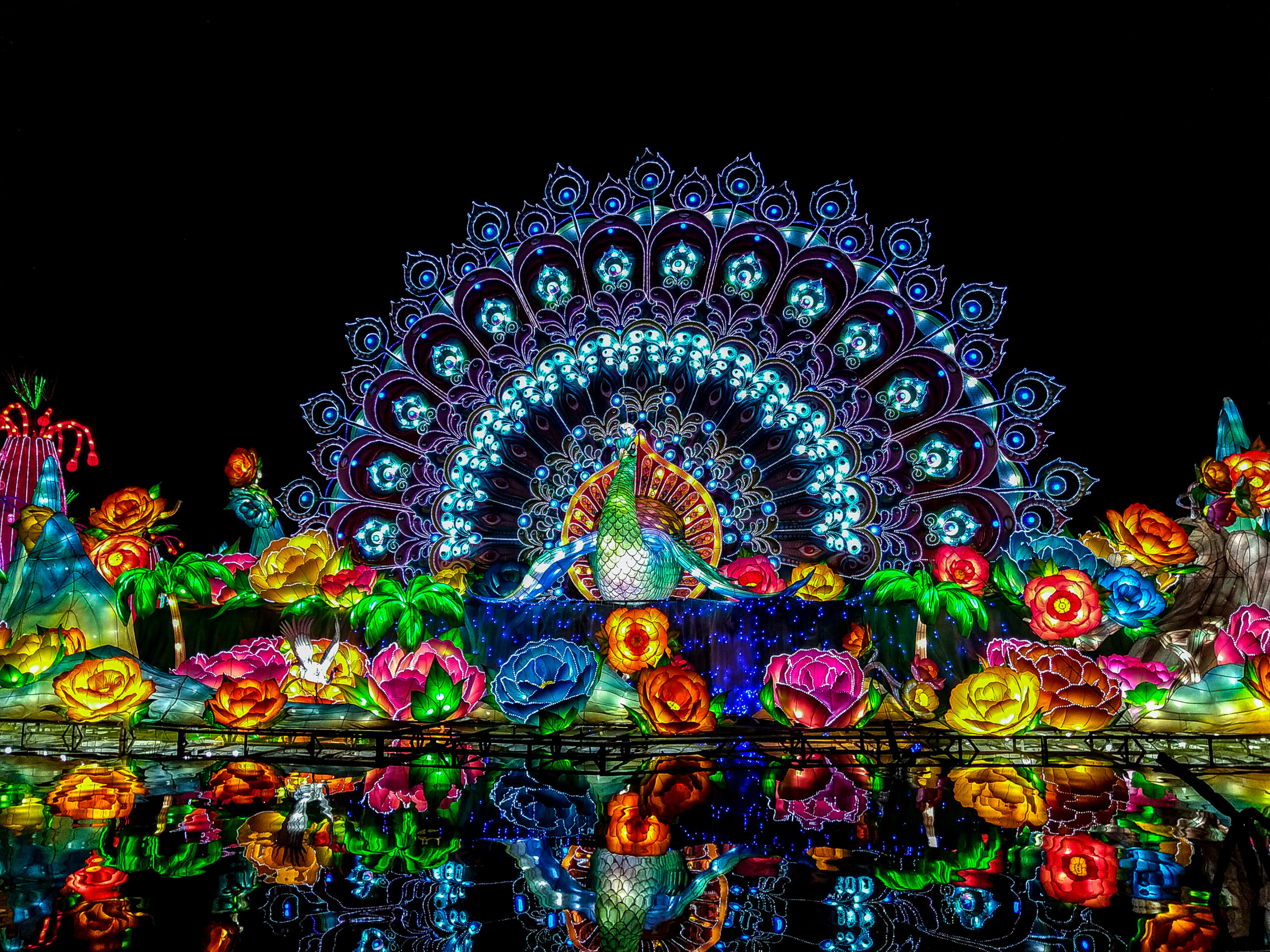 Dubai Garden Glow Guide Light Up the Night