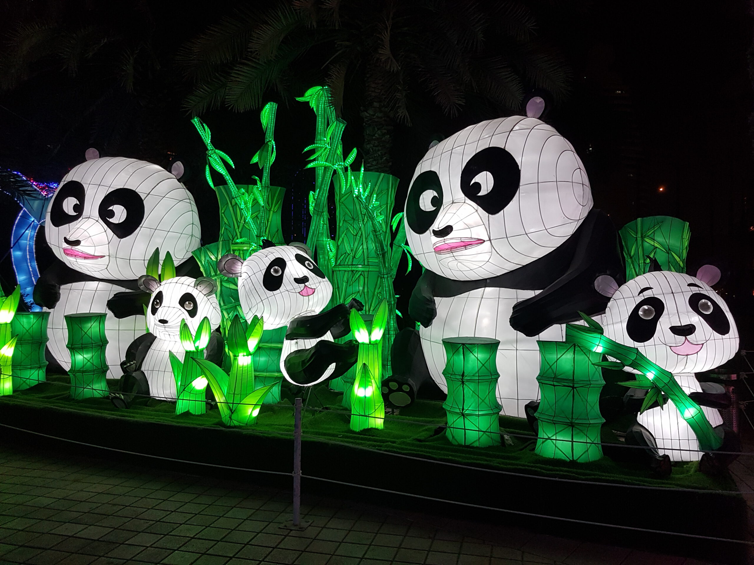 Dubai Garden Glow - Panda