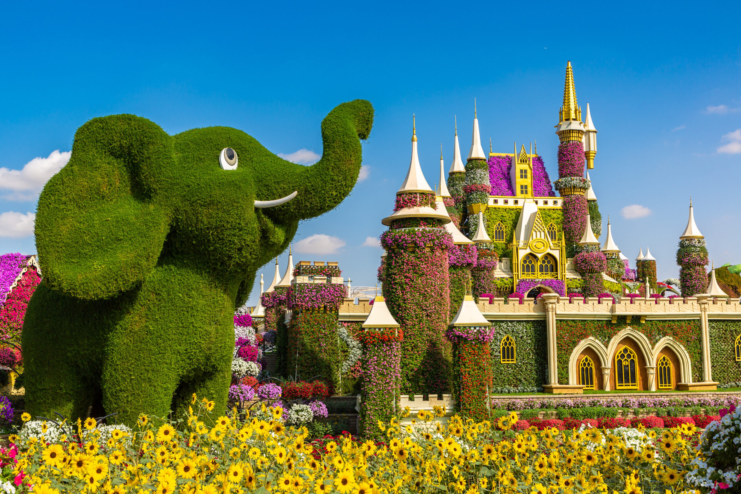 What to do in Dubai with kids - Dubai Miracle Garden