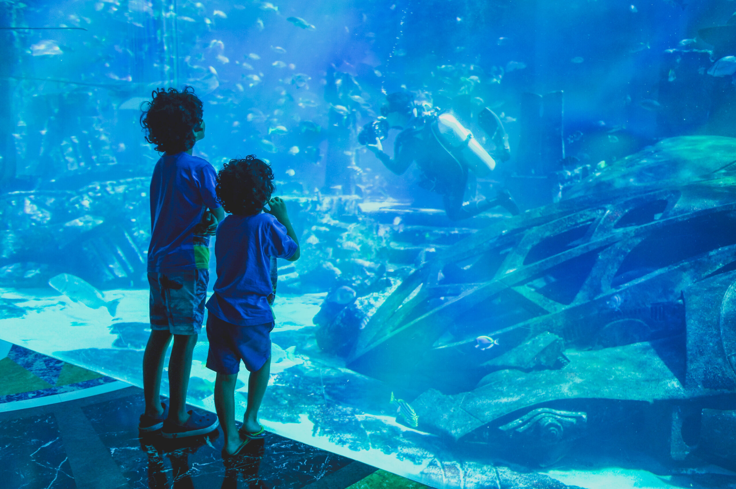 What to do in Dubai with kids - Lost Chambers Aquarium