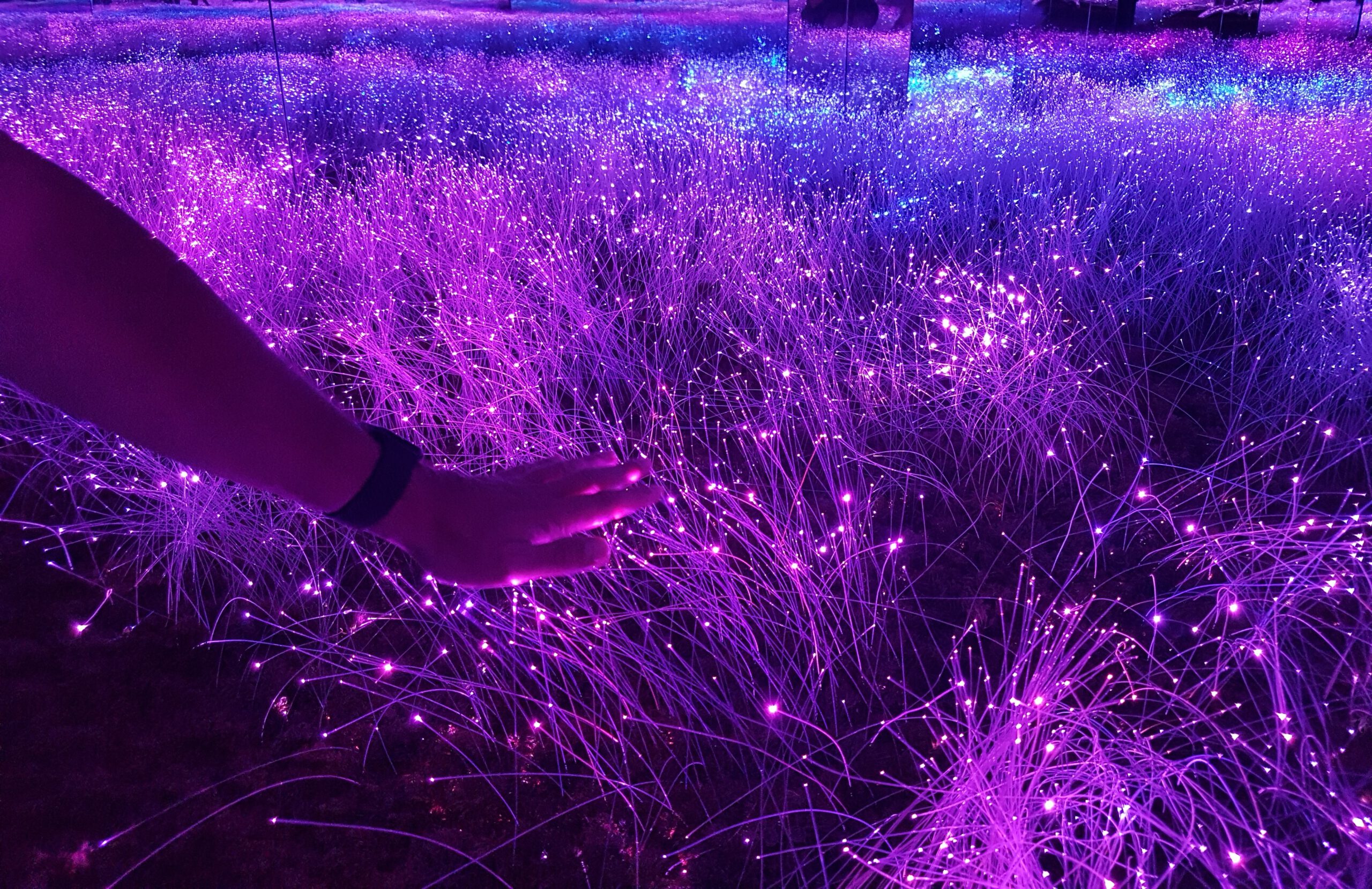 Aya Universe in Dubai - Flora